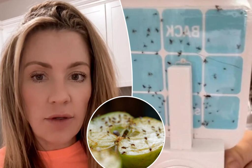 Woman Terrified by Fruit Fly Infestation in Her Home - Here's How to Get Rid of Them